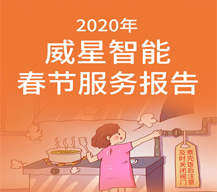 2020年威星智能春節(jié)服務(wù)報(bào)告